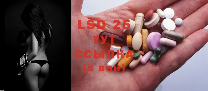 где купить наркоту  Звенигород  LSD-25 экстази кислота 